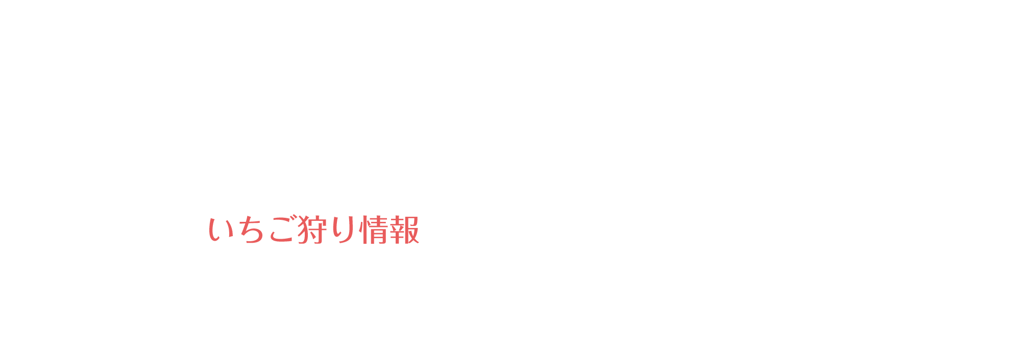 いちご狩り情報